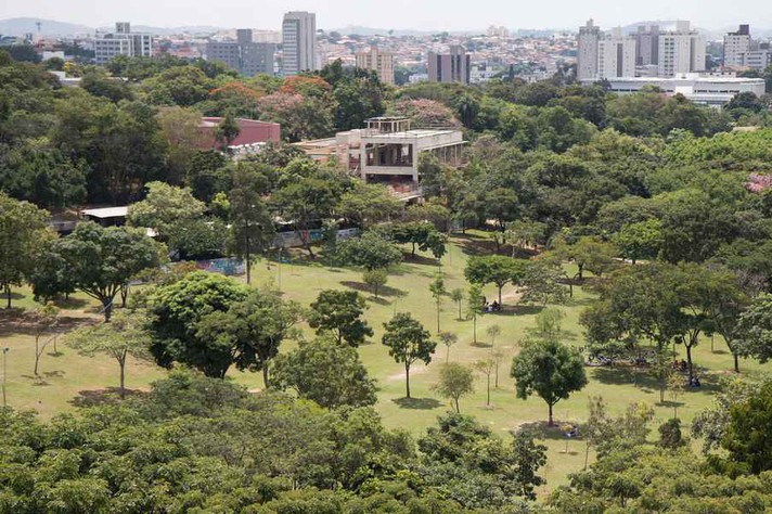 bosque da musica UFMG
